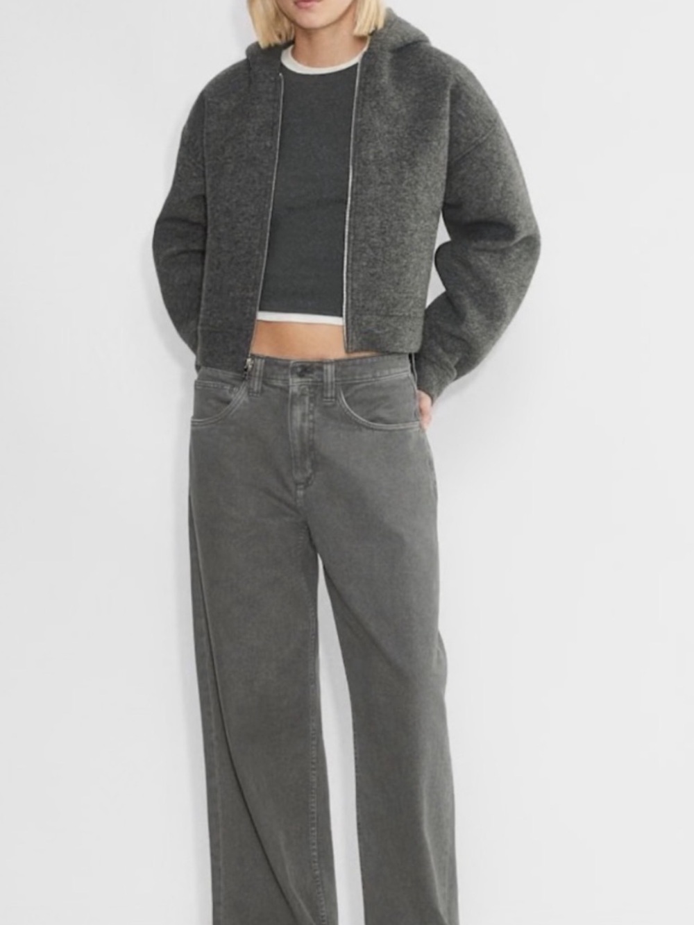 Aritzia TNA Cropped Gray Hooded Bomber Jacket Italian Wool
